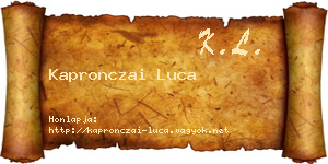 Kapronczai Luca névjegykártya